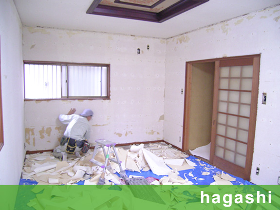 写真：hagasi